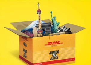 成都国际快递 发文件空运到国外 dhl 价格实惠时效快门到门商品大图